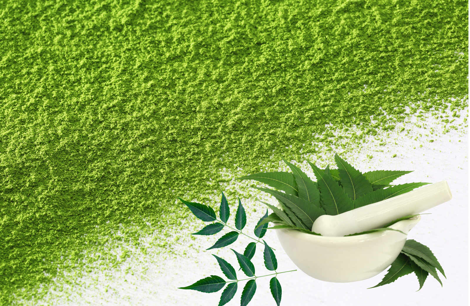 Neem Powder