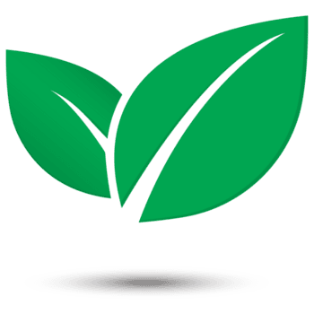 Leaf Icon