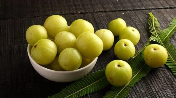 Amla Powder - Image 3
