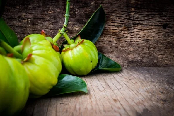 Garcinia Cambogia Extract - Image 2