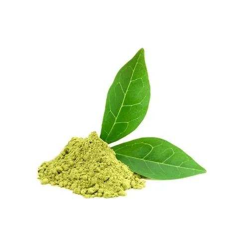 Green Tea Extract - Image 2