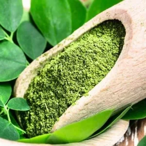 Moringa Powder