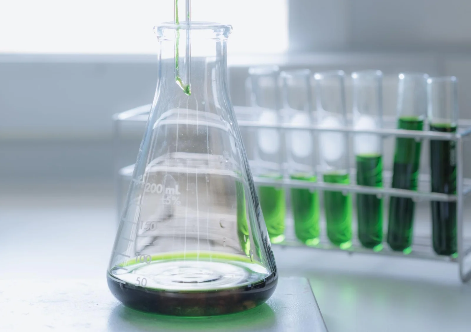 Moringa Leaf Extract - Image 4